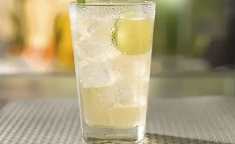 Receta de Chilcano de Pisco